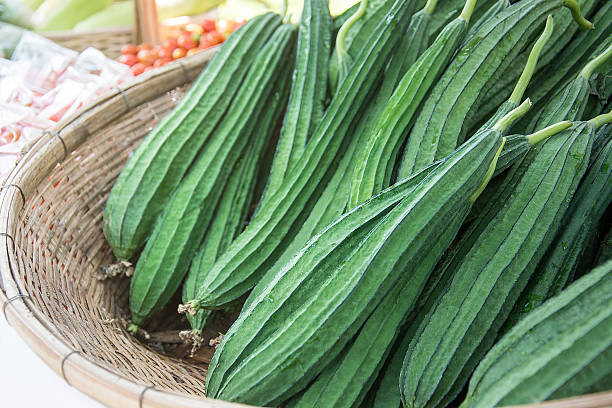 Ridge Gourd